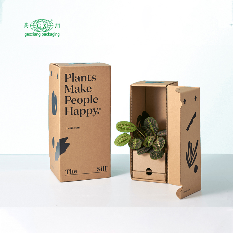 Vlastné personalizované recyklovateľné ploché rastliny z vlnitej lepenky, kvety, balenie do papierových škatúľ